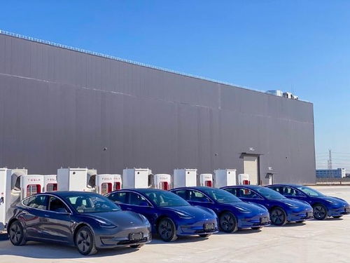 讓蔚來(lái)們冒汗的還在后頭 研報(bào)稱(chēng)國(guó)產(chǎn)特斯拉還有30 降價(jià)空間