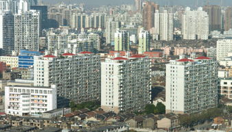 不搞 大開(kāi)挖 大治理 ,上海探索出特大型城市土壤污染治理 桃浦樣板